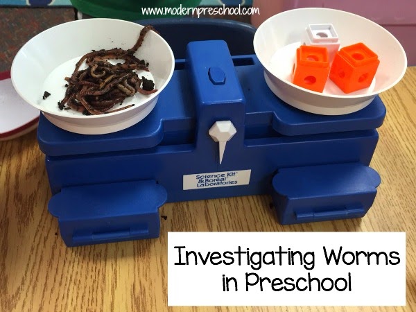 Hands-on preschool learning with real worms - science, math, literature skills included - from Modern Preschool