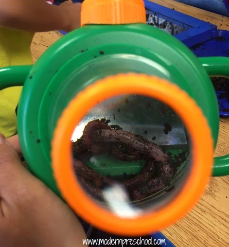 Hands-on preschool learning with real worms - science, math, literature skills included - from Modern Preschool