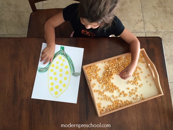 Fall corn cob counting activity for preschoolers and toddlers from Modern Preschool