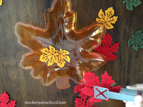 Fine motor fall leaf activity for preschoolers & toddlers. Practice sorting, counting, and colors from Modern Preschool!
