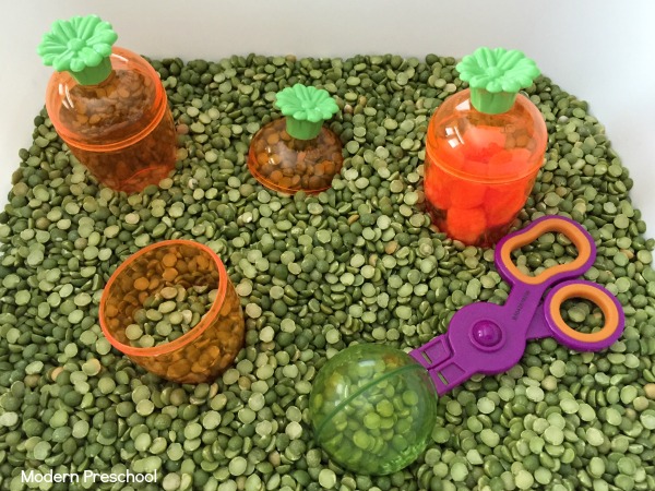 Plant a carrot garden sensory bin for toddlers and preschoolers! Strengthen fine motor skills during spring themed pretend play!